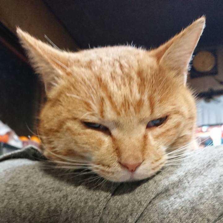 B6c9dafd e115 43ed a9d2 9e7e2e1c3c56 1576791743344