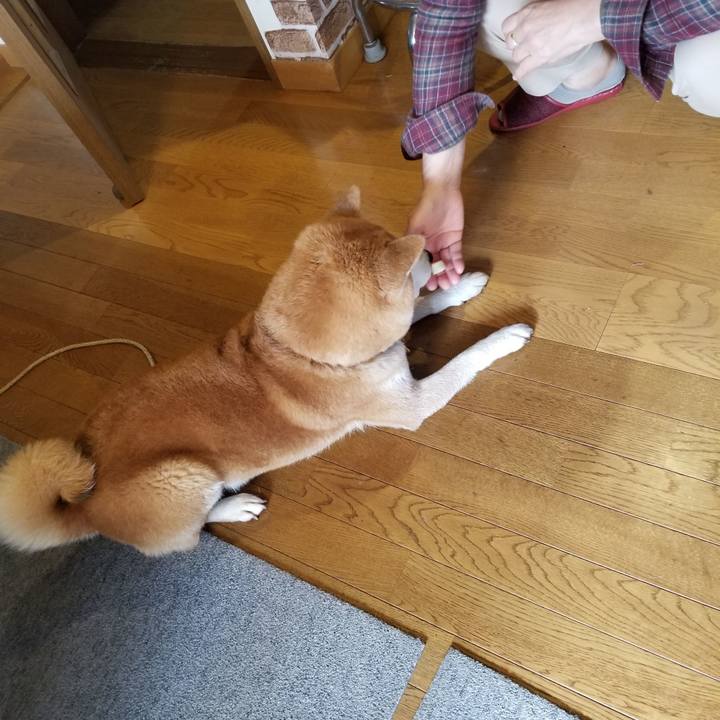 B6ca05df c4fc 4d93 9b1f 4f83ce5e3057 1605498307236