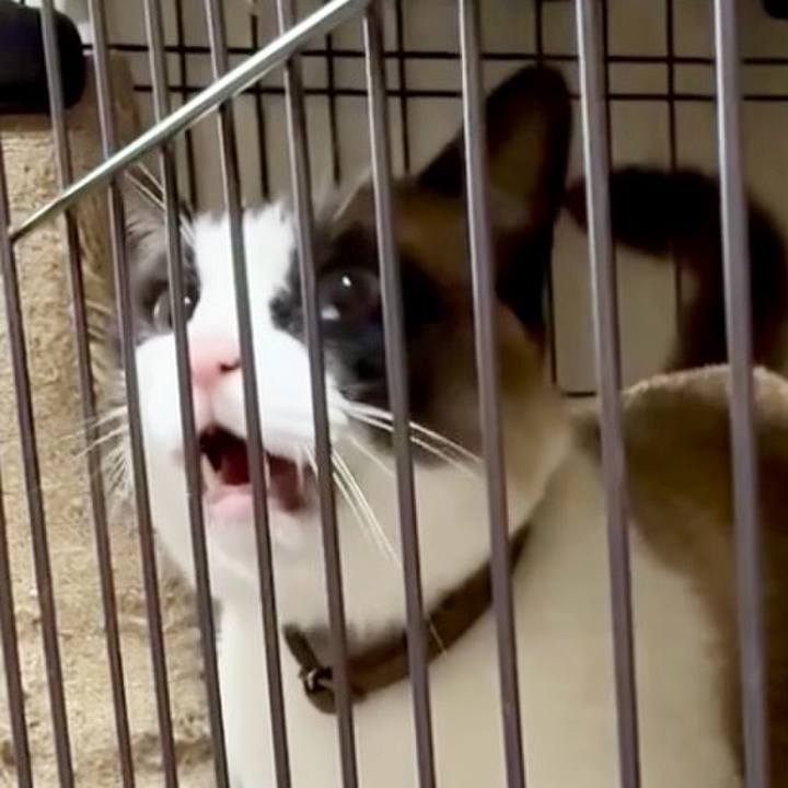 B6ca20ab 3b70 4327 be1e 93f78645e4c1 1748864635616