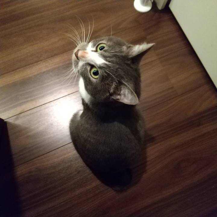 B6ca5285 dcff 49b0 932b 91c8468c4f26 1606475793511