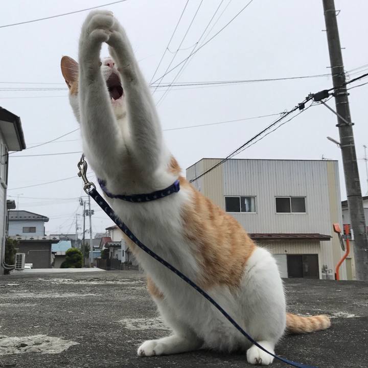 B6cae7be ac9f 4eb4 9e1d 35c08a87722c 1521025263557