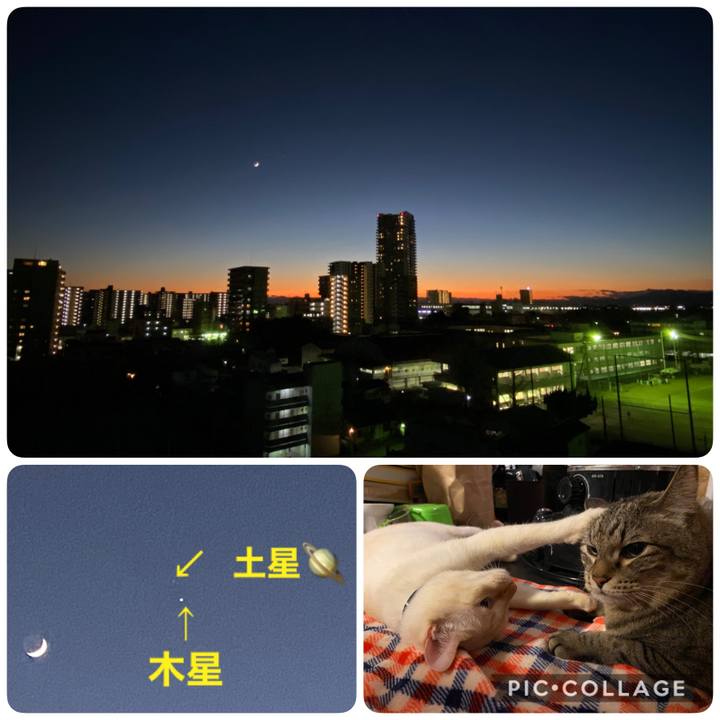 B6cb2595 3823 4759 a377 d060d5736775 1608204857082