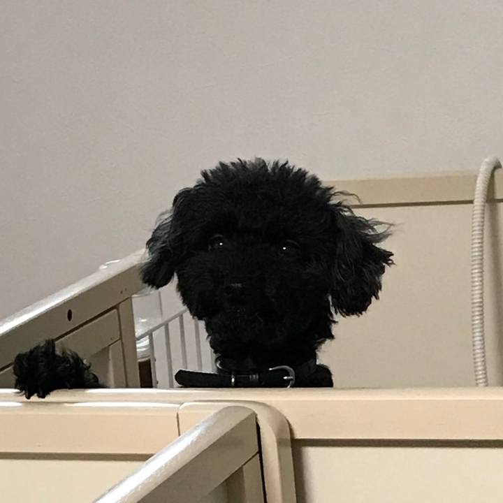 B6cb28c4 4307 43af a0a2 17a6a1572b77 1532738999714