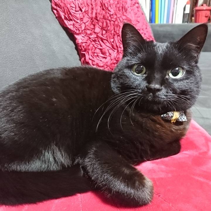 B6cb3ebf 08e7 4992 8b44 707773875090 1573996608721