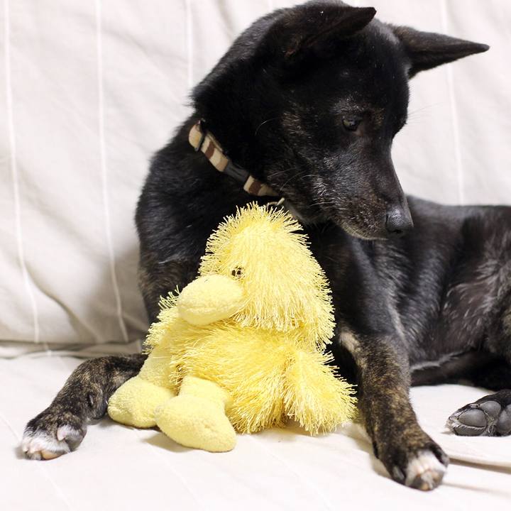 B6cb4522 7d2a 4f2e 9ca3 eef1a1e1200b 1560559303282