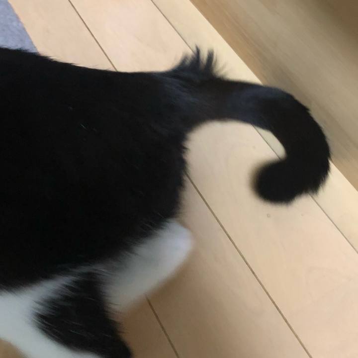 B6cb61f5 2838 407f 8e6d 95585d4c5906 1564790888099