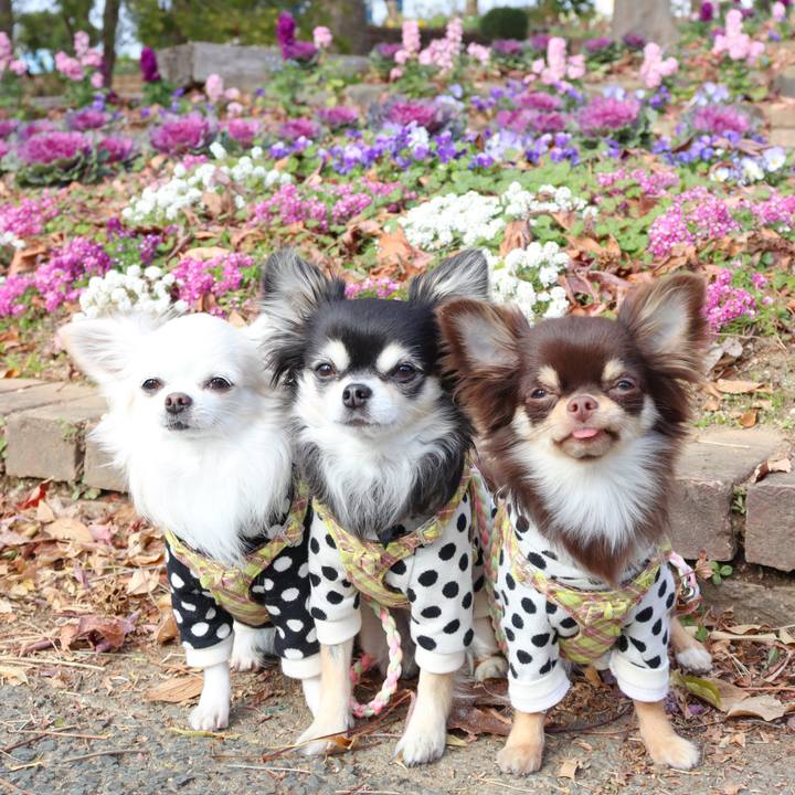 B6cb6364 7fb8 4794 98da 7fd128716f2f 1766284916216