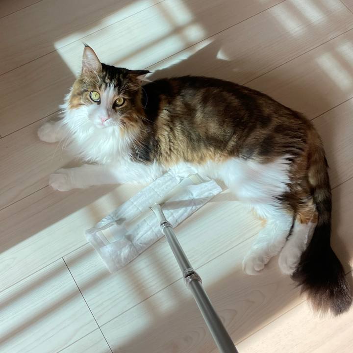 B6cb9bae f19a 41c8 abf9 5bc8c04dfa3c 1663395944593