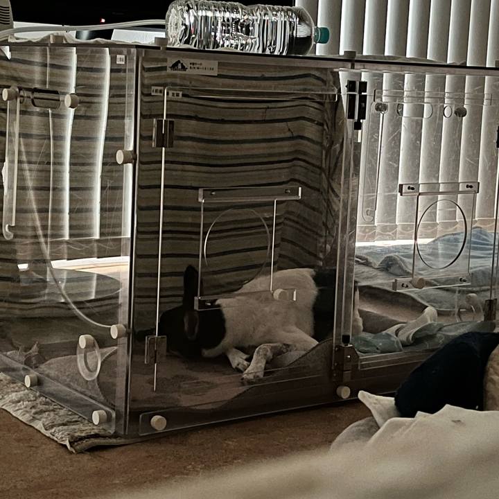 B6cbd486 a946 4f85 9222 d0c48d6a298a 1656192298575