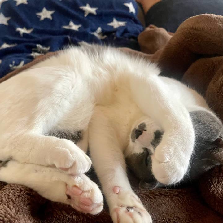 B6cbe213 156d 43dc b59d f485c0a894d7 1654765811433