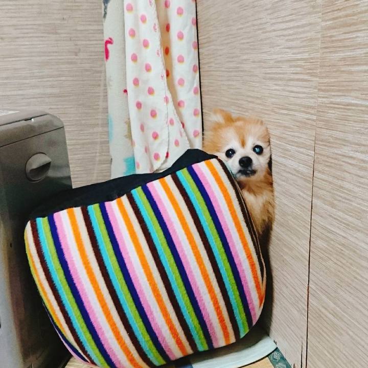 B6cbf93d 14c7 4ea8 a2e8 2dd37ac6c699 1581333941463