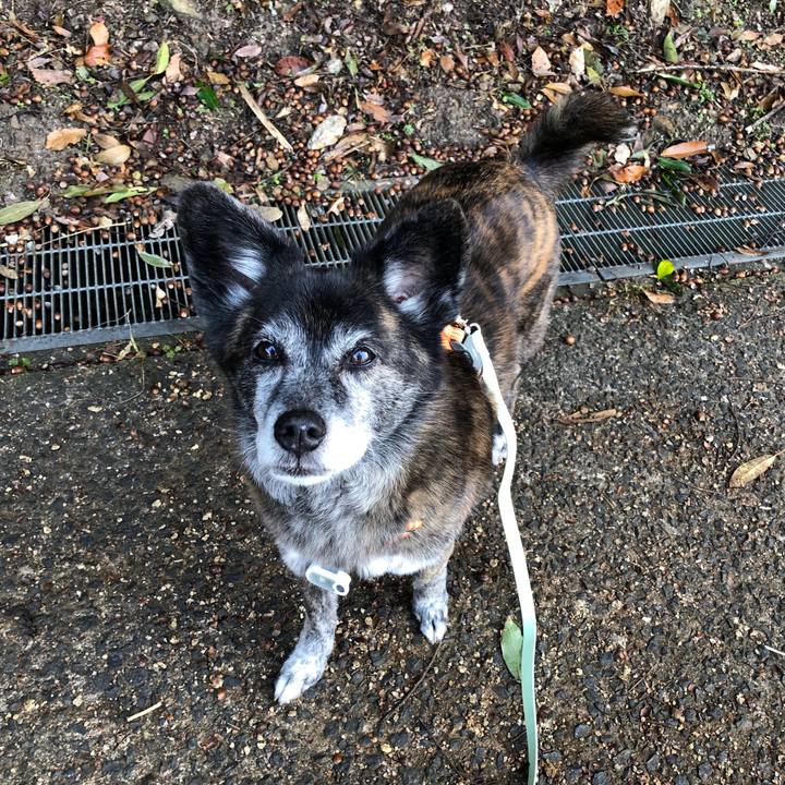 B6cc3334 132a 4a26 b9c6 0551909403e9 1705318490019