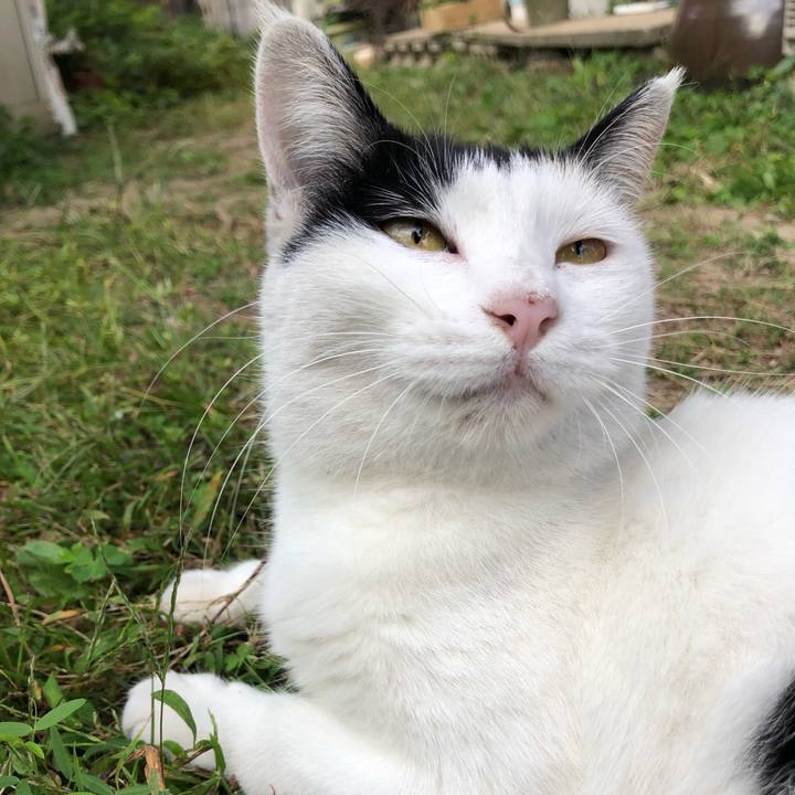 B6cc3399 5062 4064 aa92 7755ddbe5759 1602258665701