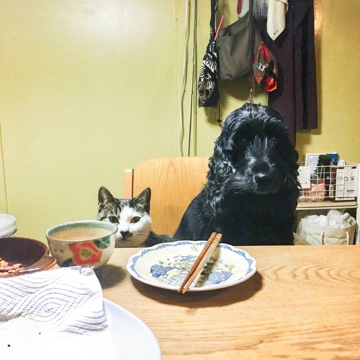 B6cc5f9e f720 4118 9c0a 9b748b436e13 1509365374837