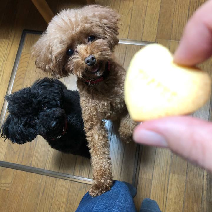 B6cc682b 2b73 4c7f a880 12953bbfdee3 1604200960637