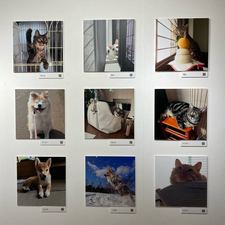 B6cc842d 613d 44c6 8572 2fd6c661fc68 1762158877912