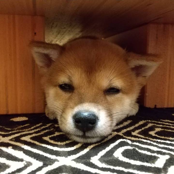 B6cc8f70 152b 4f47 950d 59c7f5fb42a3 1638319964801