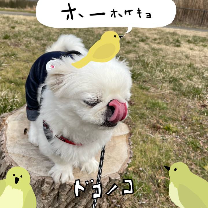 B6ccfa62 eca8 4391 9ee8 c8d6cac4ea7f 1711399742578