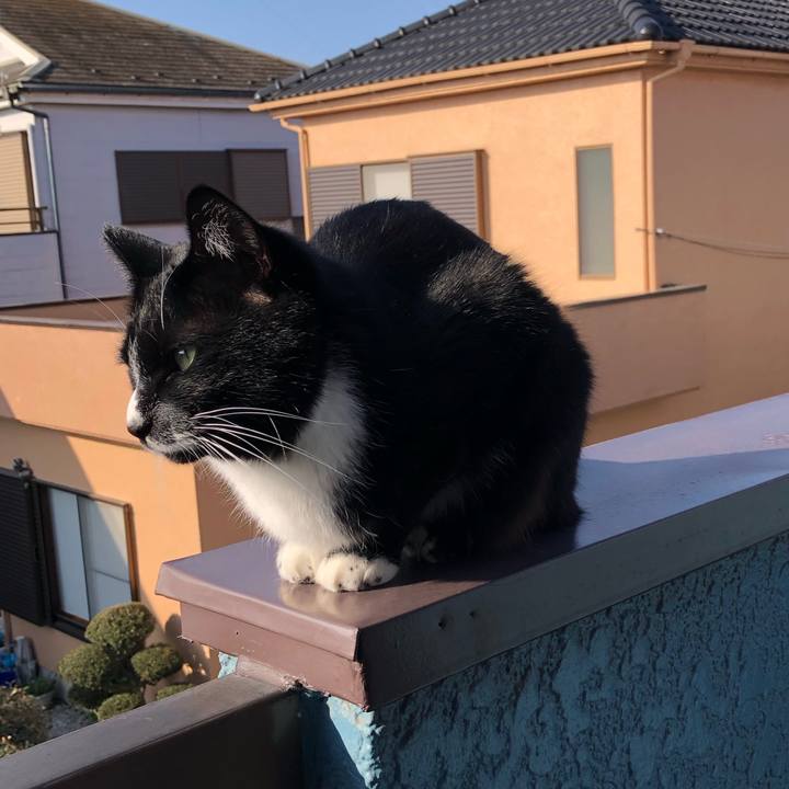 B6cd2f5e f9f3 4887 9d5d 10dd5fc04b30 1608695574467