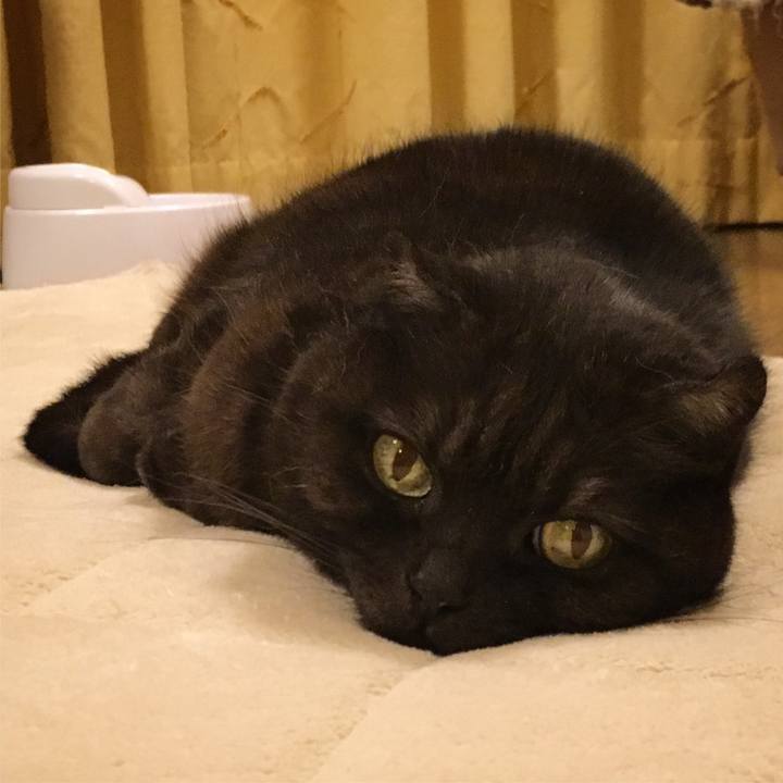 B6cd360b 593b 44ae 867a 43a23ff7482d 1516467573378