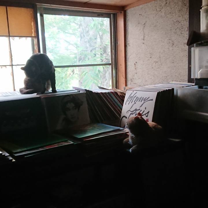 B6cd5a5a 3194 4caa a080 c501764af8c8 1657062644919