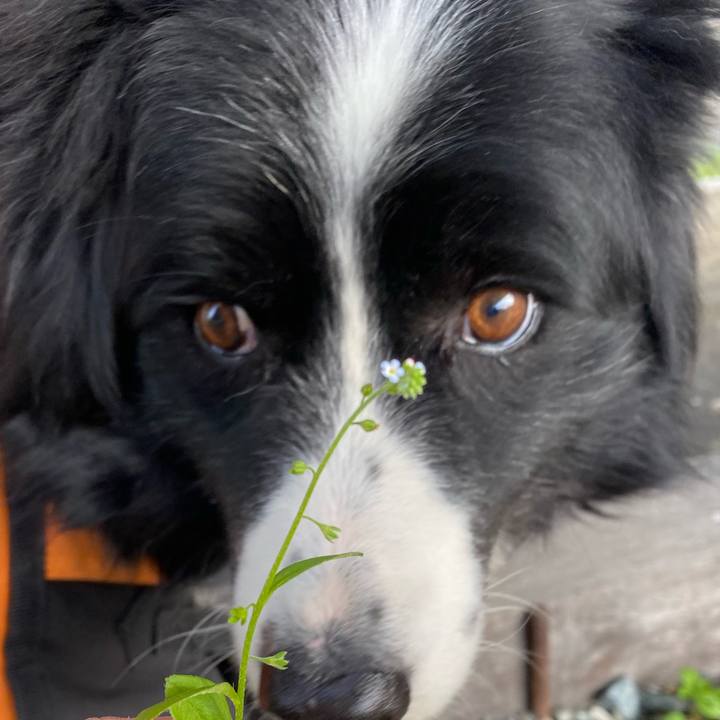 B6cdca29 a0ad 4305 a451 5fff483e1e7e 1613002495265