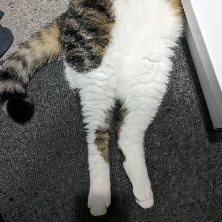 B6cdd50b a403 4670 a549 e05222263985 1692442195047