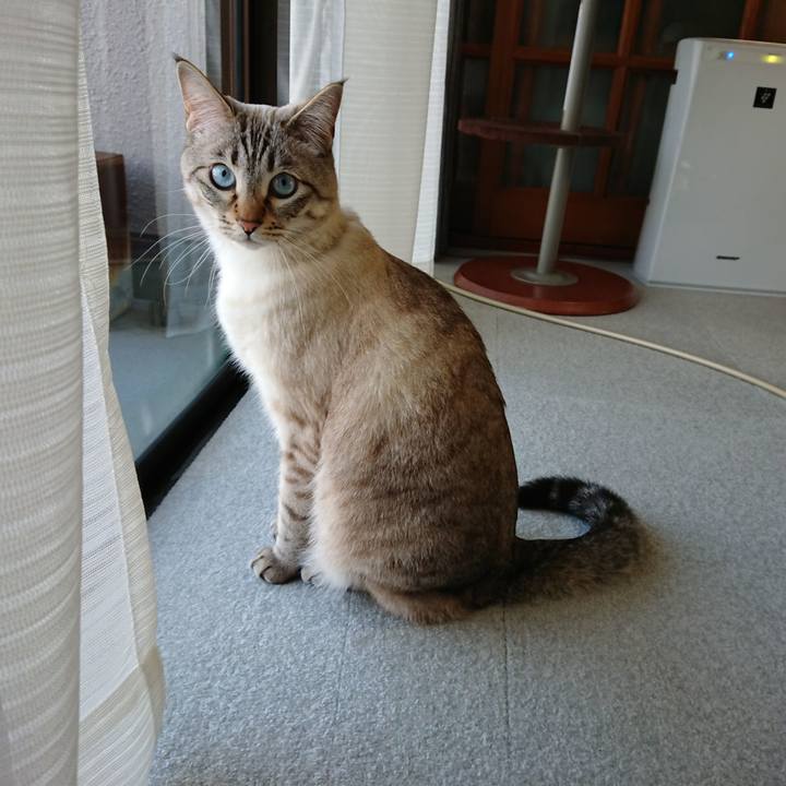 B6cdf1c4 0c0a 4ca9 b063 8e43ea87026a 1519429013685