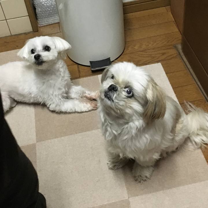 B6cdf22b 29e4 463a b5dc 768ee15dfcfb 1579648843830