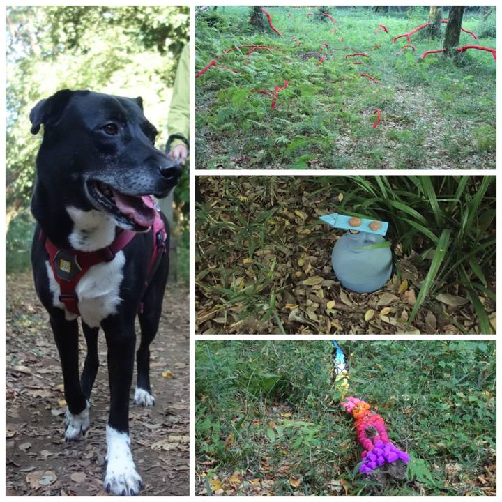 B6ce3a71 0a3a 4cad 903d a6919ead4ef6 1698277163134