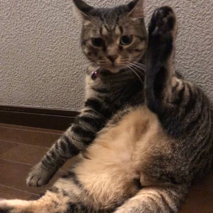 B6ce7d97 73a2 46c6 8ca0 01a67c1126c5 1552917367207