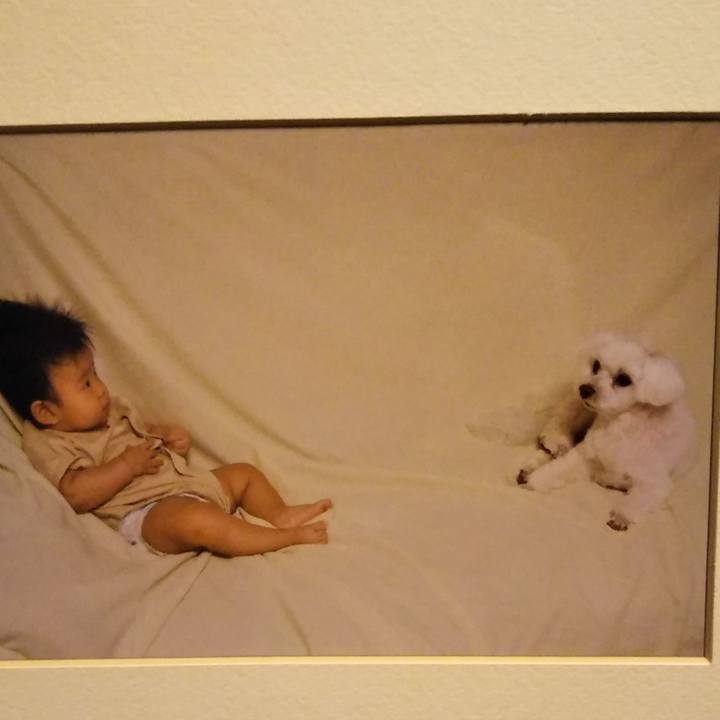 B6ce8706 5ae4 427e 9729 0bfba86a2303 1534600696321