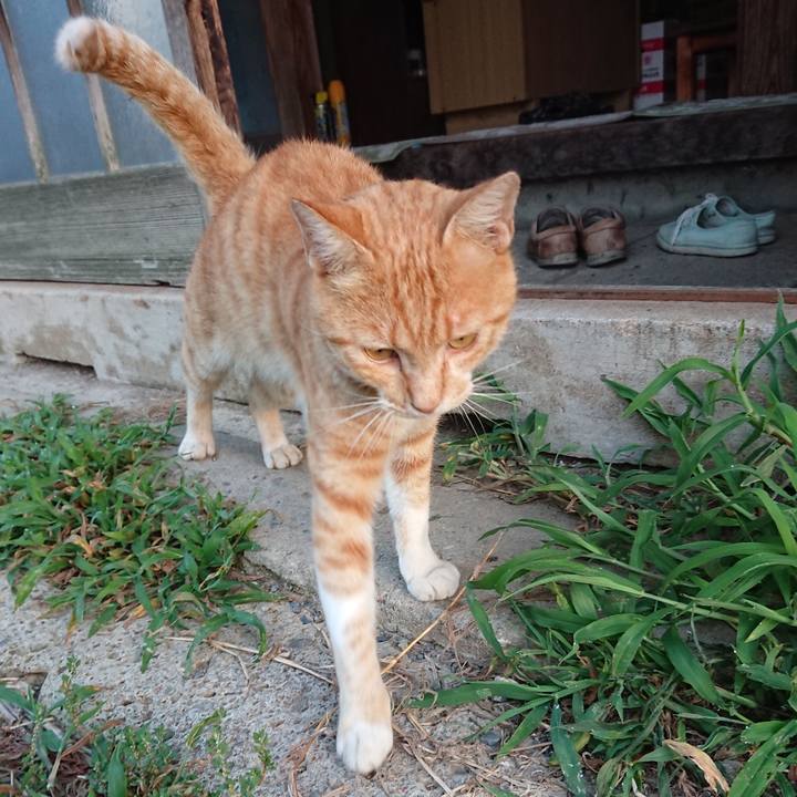 B6cebac5 b31d 4c10 a6e9 87364b7d68db 1564777247195