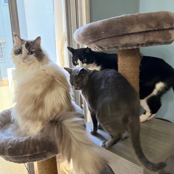 B6cedfb6 7e56 4907 a9b5 e2ea39ae30d4 1776564260986