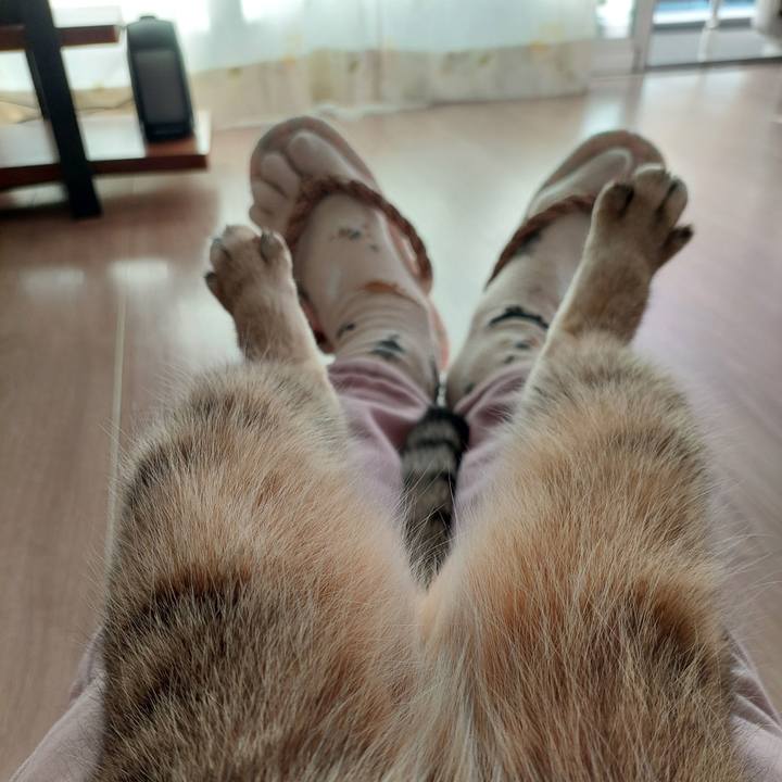 B6cefae9 e46c 4f51 8506 b9c29457fd8a 1734775048845