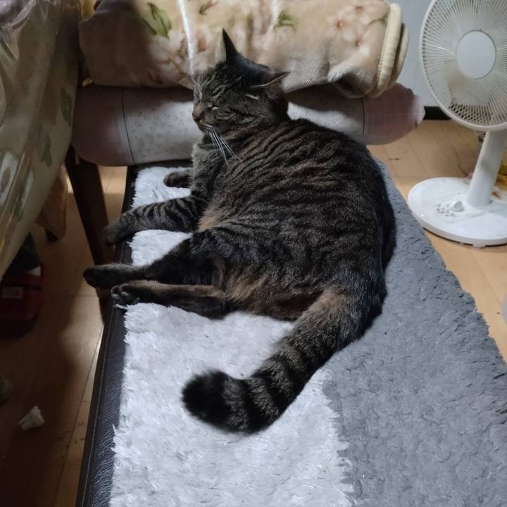 B6cf1206 0c05 403b a1ca e99592459244 1670191153228