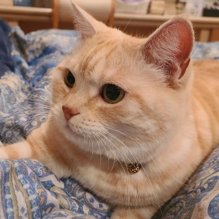 B6cf31aa 5e88 45f5 b513 339d08219c56 1616123767818