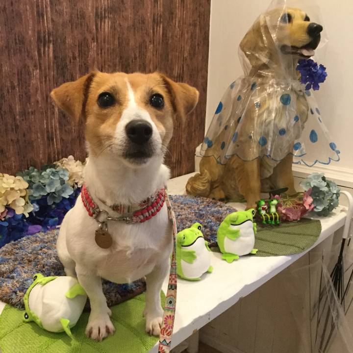 B6cf994e 3fa7 4ff9 915a ae02f274f413 1560586010774