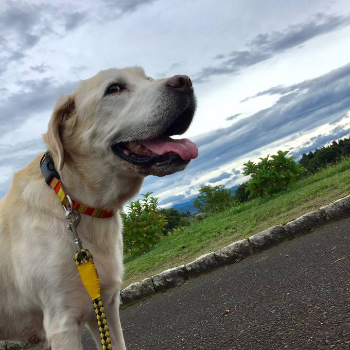 B6cfafa5 8140 4877 ba6d ff48274b5765 1634399180661