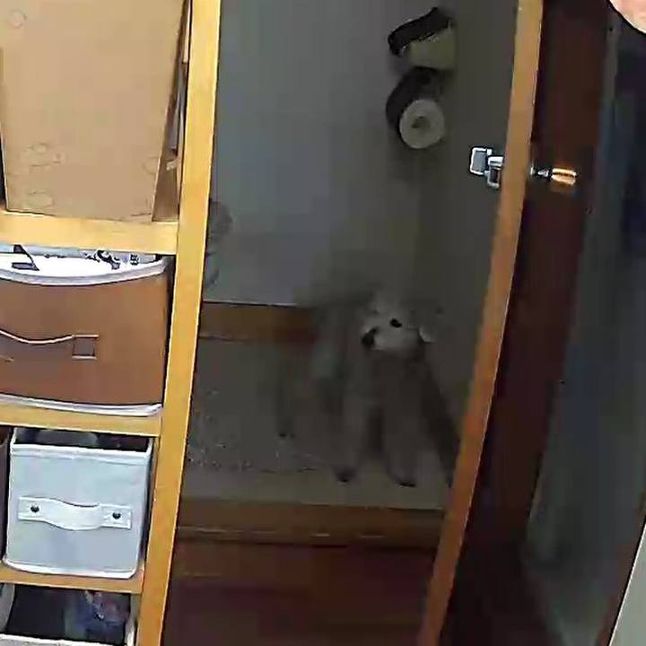 B6cffa4f b419 4eba af79 c19f53ea1cfa 1649735644255