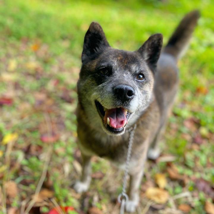 B6d03a3e 9ee9 485b bcd9 3ed0c9a2545a 1635753165767