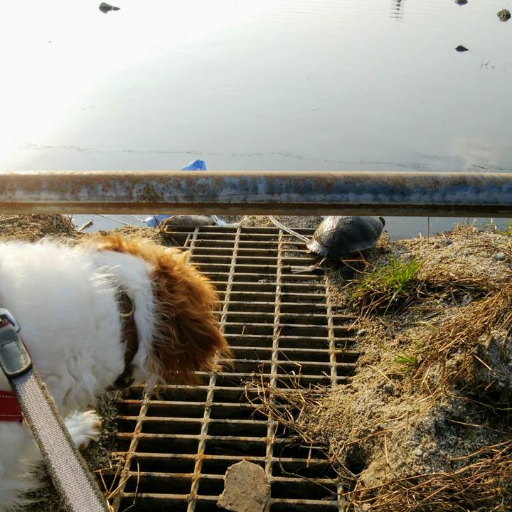 B6d03e73 bd74 427d 85c2 ee0776a14af8 1552391608934