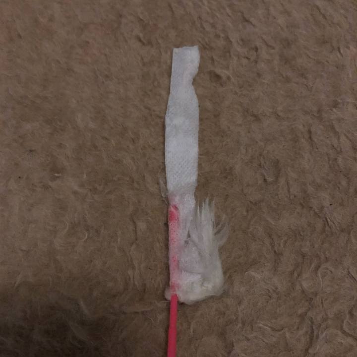 B6d03e78 61e8 4c0e 8c06 33bd3e4d7297 1545919954948