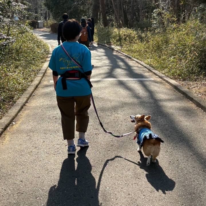 B6d05efd 5ad0 4c9b 8d38 a59dccfa4ac0 1771844368466