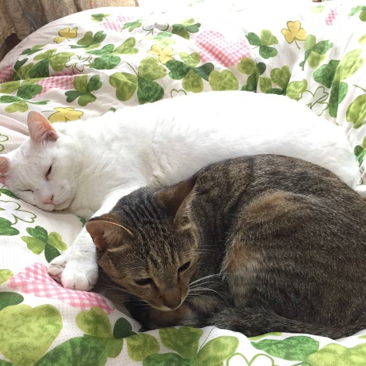 B6d0c37e b86f 4c2b a3cf 22ed4596129e 1538693809299