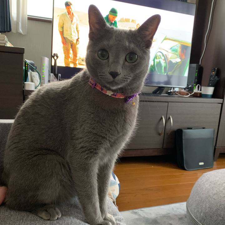 B6d0f13e 03ef 4688 92ac fa09868daa73 1629111815055