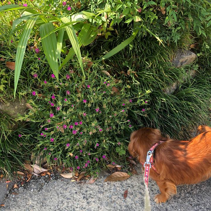 B6d103e0 d88a 4fdd beb6 893e89128c7c 1560035236557