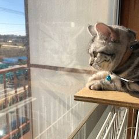 B6d148ae e9af 488d a438 a51a19998e9b 1548569067993