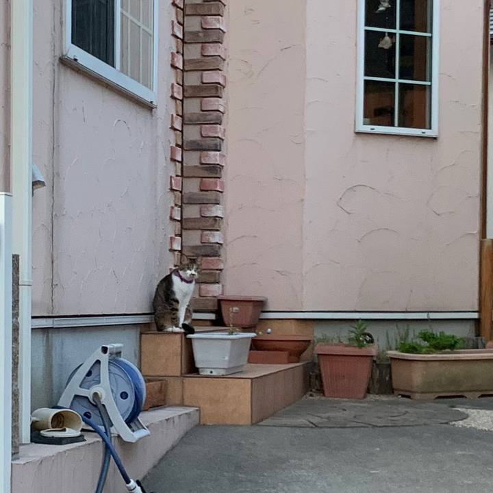 B6d153ff 1846 4f69 ab63 7bfd82c1f263 1557834731134