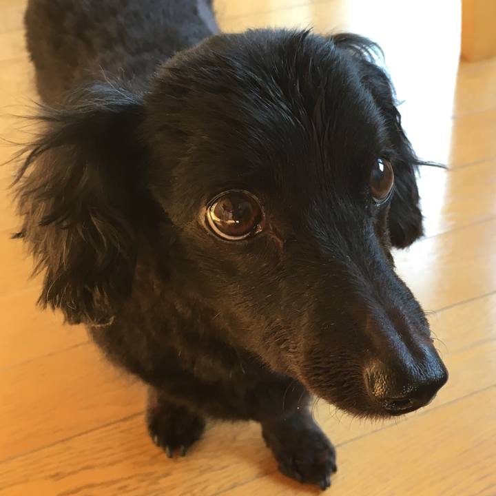 B6d17660 7ae6 4834 8d1c 9eace4ab8a7b 1513991783459